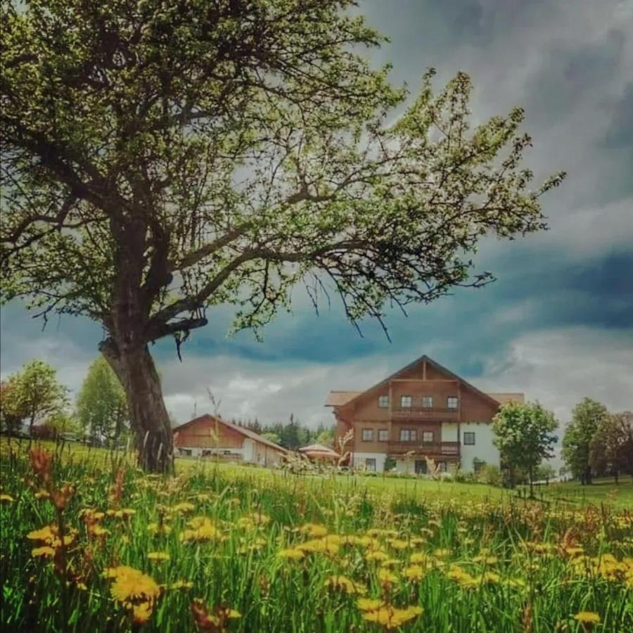 Ferienwohnung Biobauernhof Brandlhof Ramsau am Dachstein Exterior foto