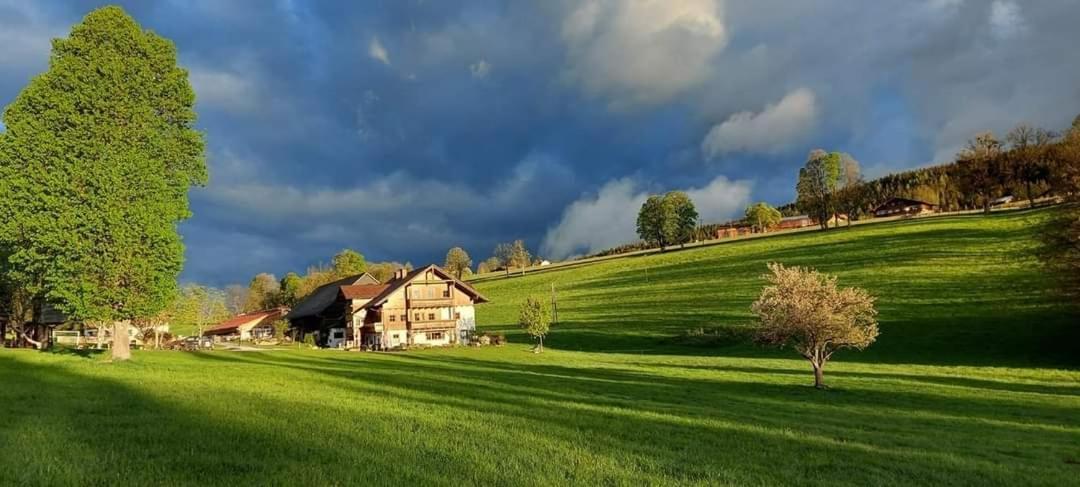 Ferienwohnung Biobauernhof Brandlhof Ramsau am Dachstein Exterior foto