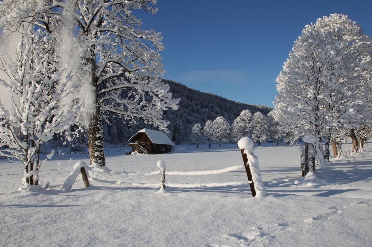 Ferienwohnung Biobauernhof Brandlhof Ramsau am Dachstein Exterior foto