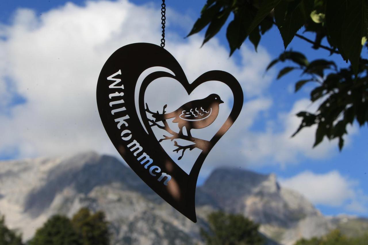 Ferienwohnung Biobauernhof Brandlhof Ramsau am Dachstein Exterior foto