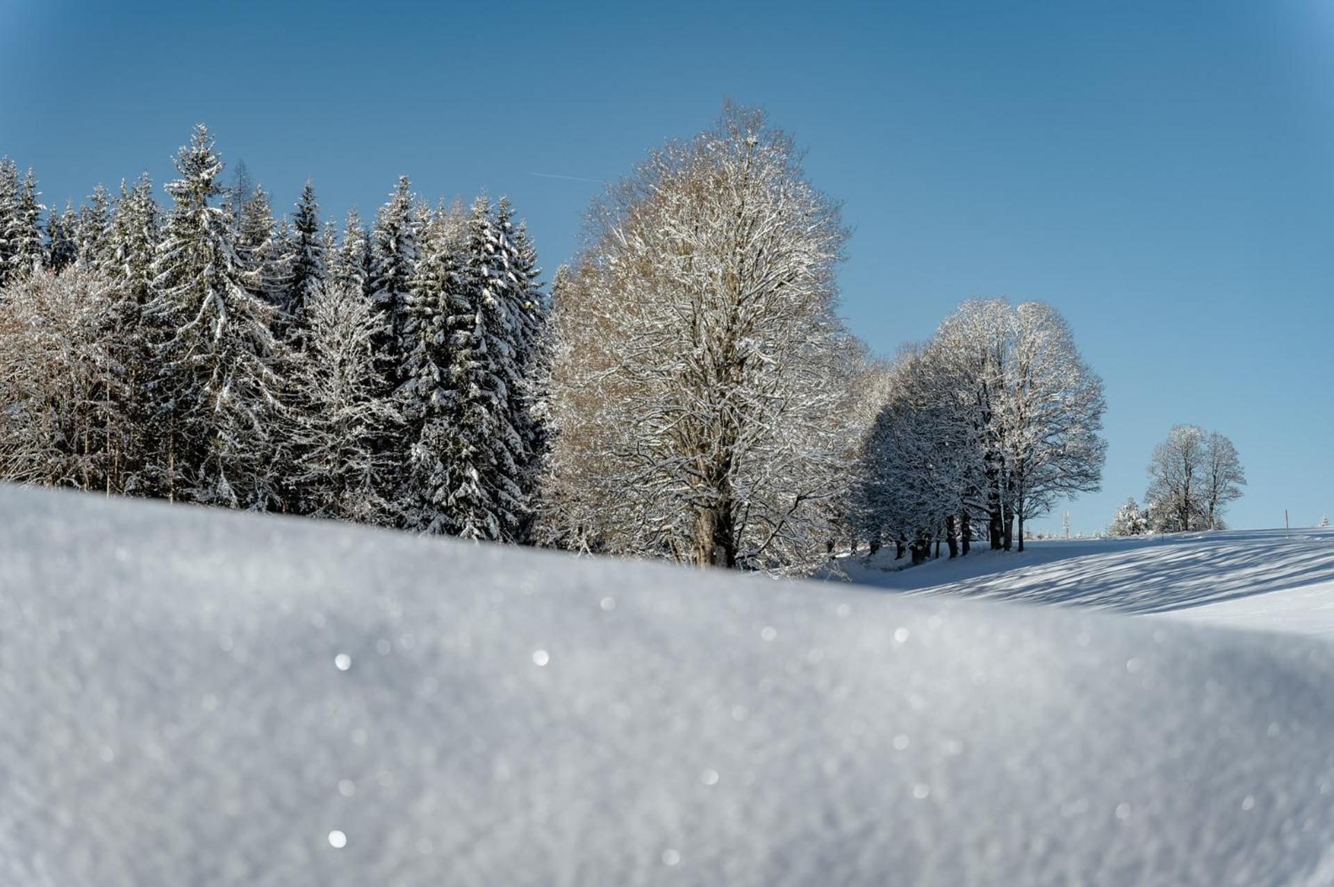 Ferienwohnung Biobauernhof Brandlhof Ramsau am Dachstein Exterior foto