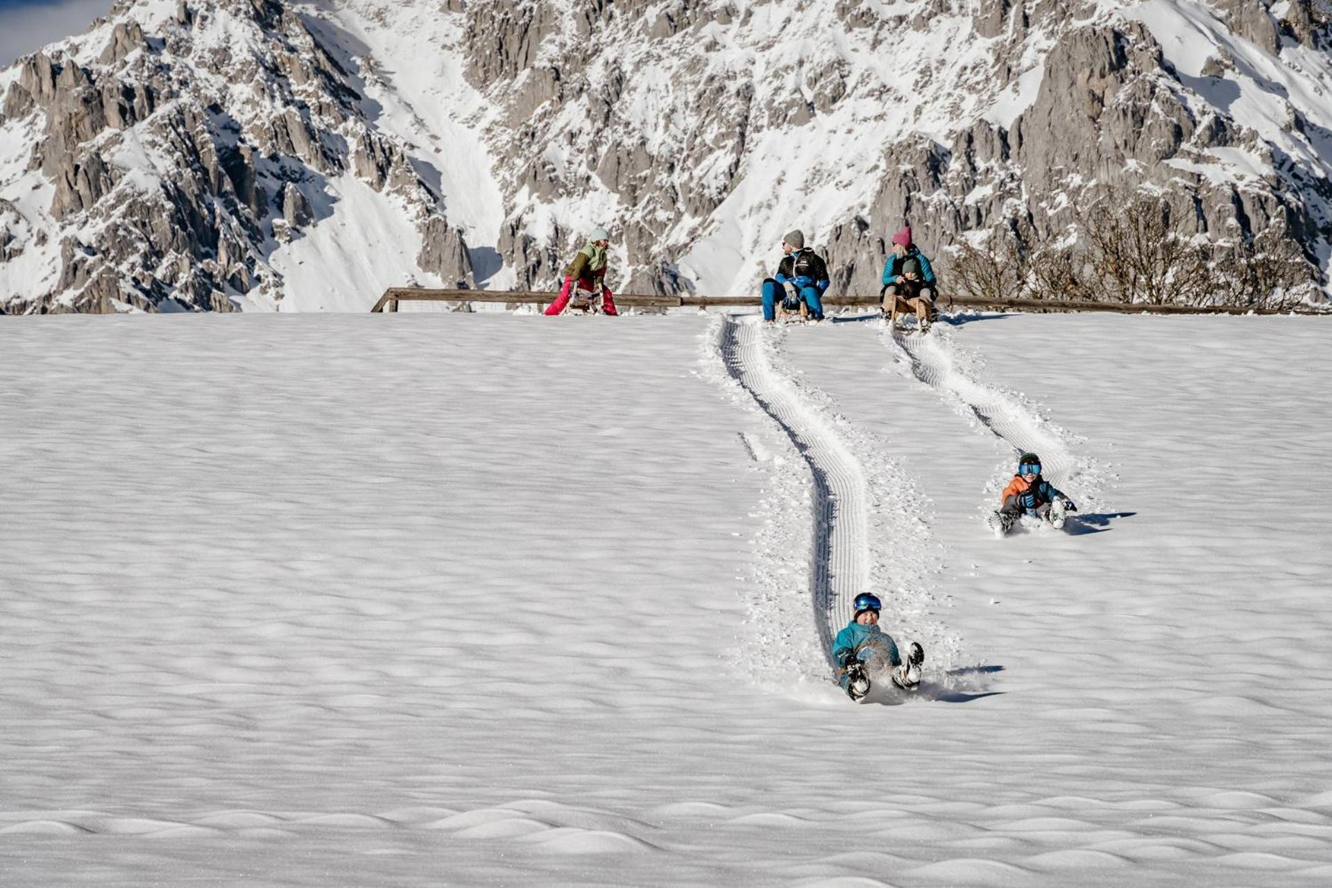 Ferienwohnung Biobauernhof Brandlhof Ramsau am Dachstein Exterior foto
